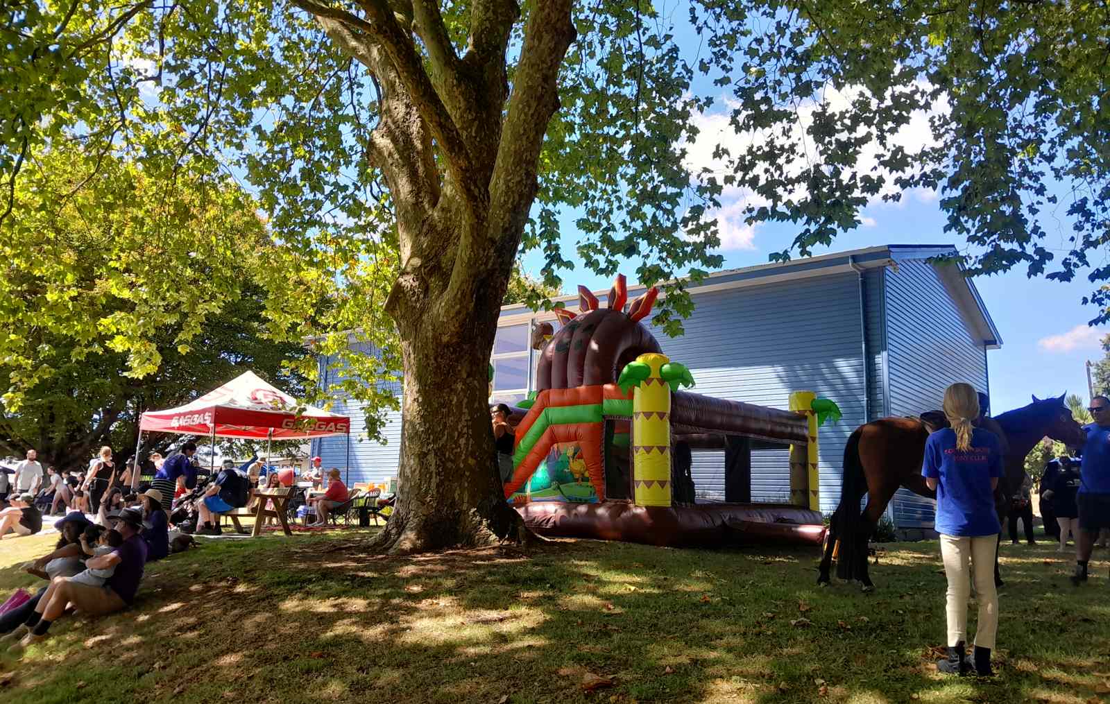 People, horses and a colourful bouncy castle under trees in front of Arapuni hall.
